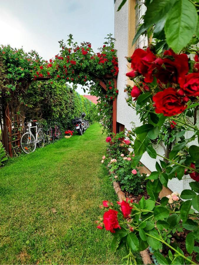 Dom Goscinny Roksana Rewal Exteriör bild